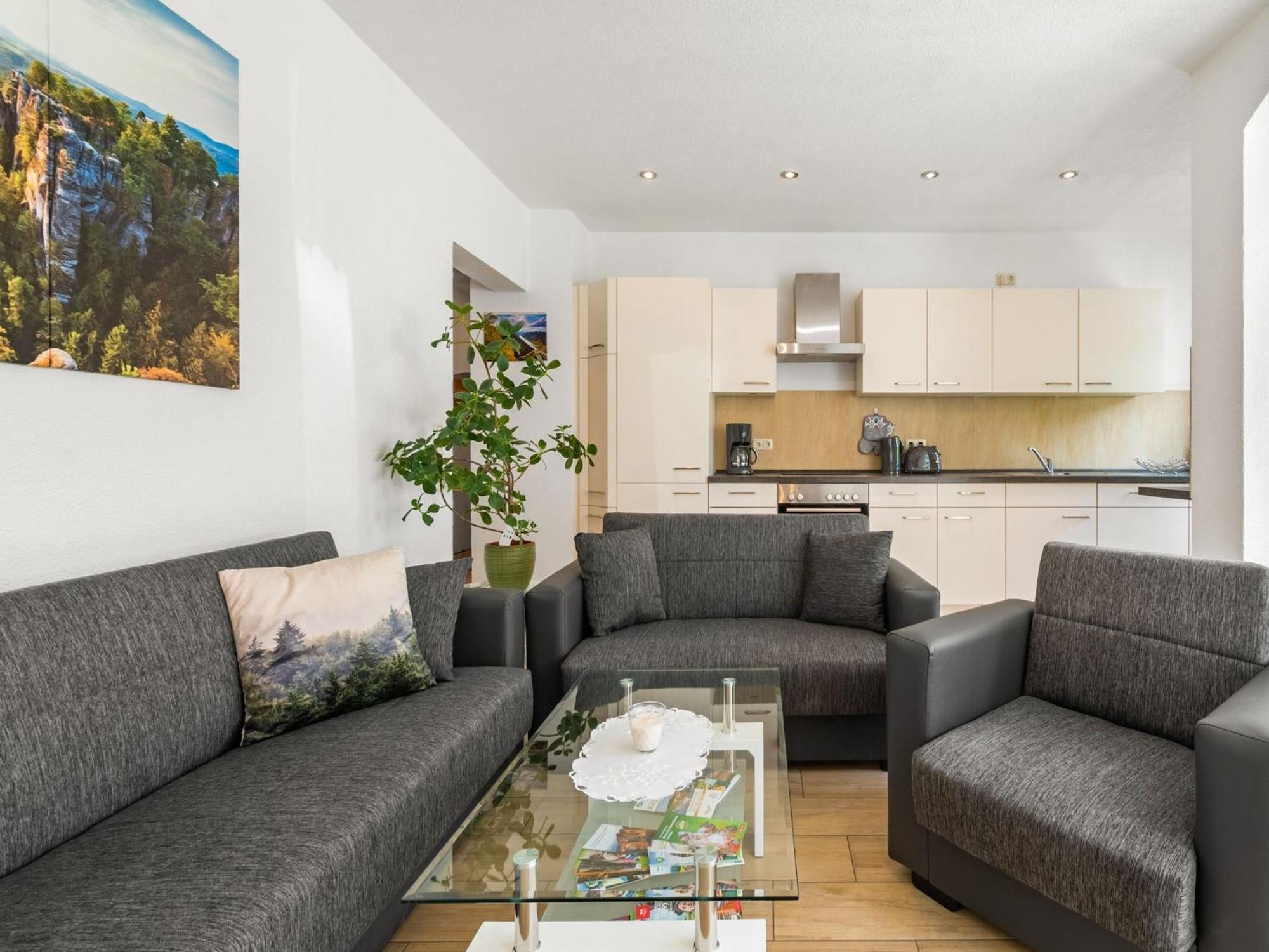 Modern Apartment In Sebnitz With A Terrace In Sebnitz Eksteriør billede